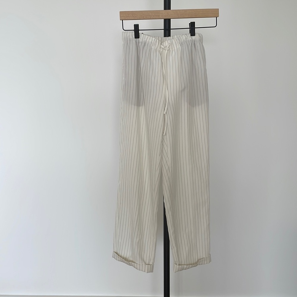Aritzia Babaton Pants in small
